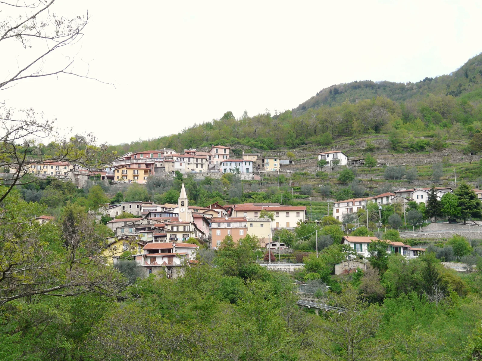 FileArmo-panorama.webp