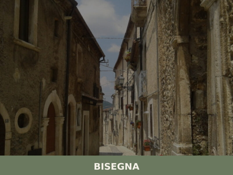 Bisegna