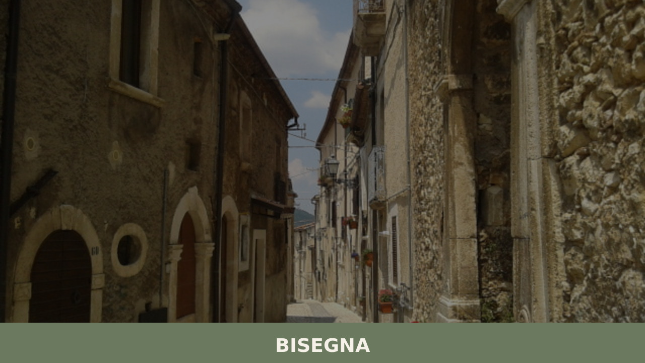Bisegna