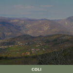 Coli