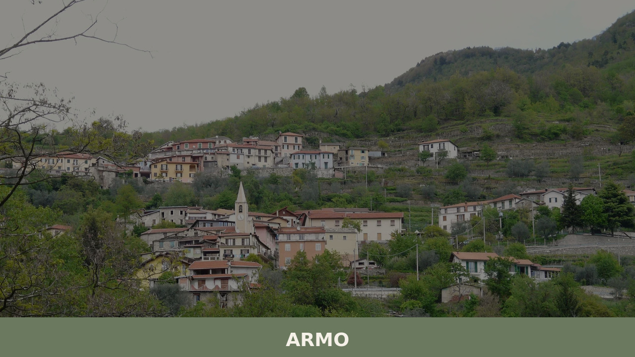 Armo