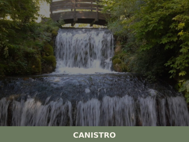 Canistro