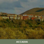 Accadia