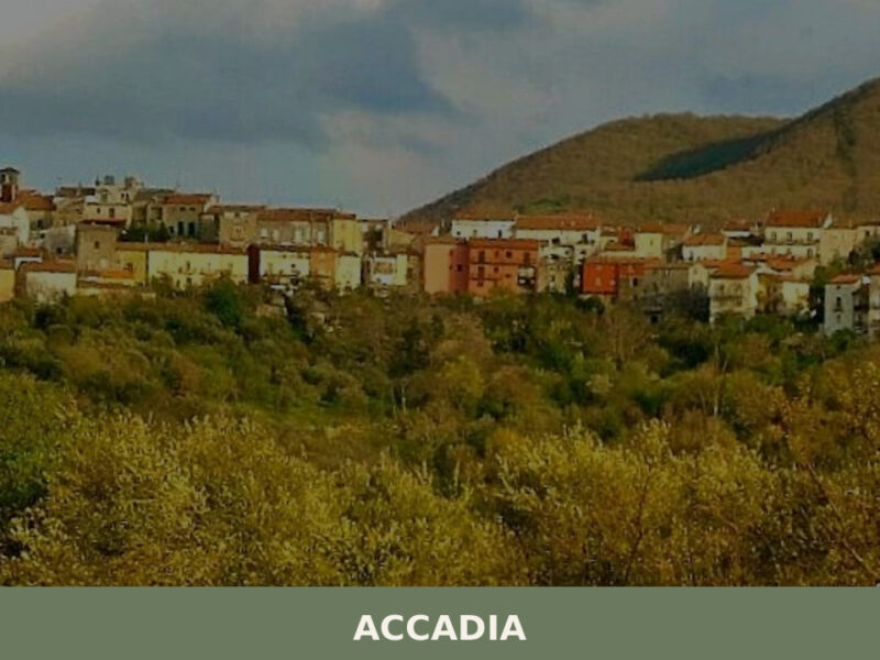 Accadia