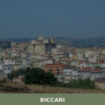 Biccari