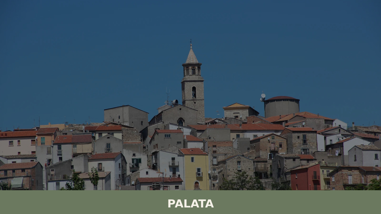 Palata