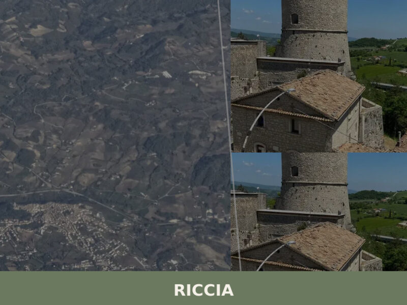 Riccia