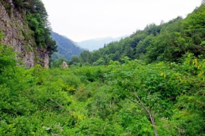 Selva di Progno