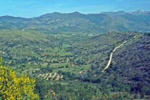 Capestrano