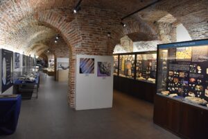 Museo paleontologico territoriale dell'Astigiano, Asti.