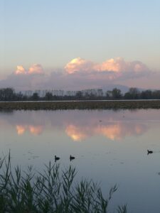 Lago di Mantova autunno — Mantova