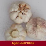 Aglio dell'Ufita