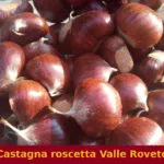 Castagna roscetta Valle Roveto