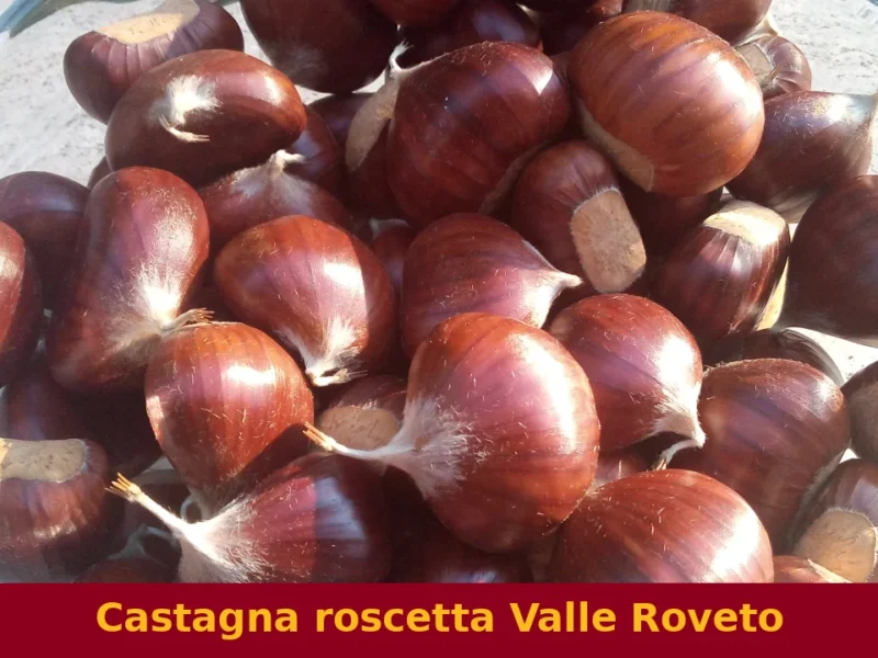 Castagna roscetta Valle Roveto