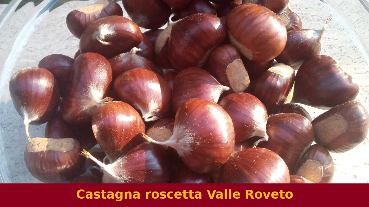 Castagna roscetta Valle Roveto