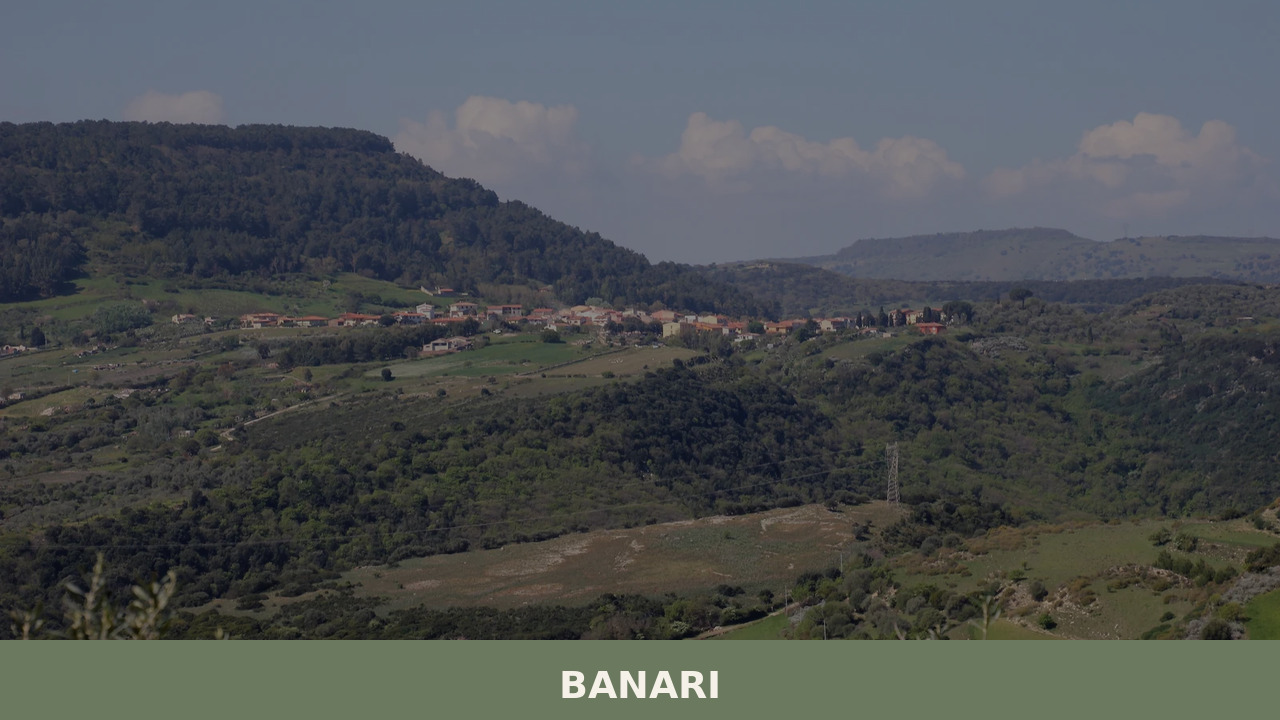 Banari