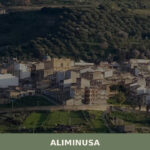 Aliminusa
