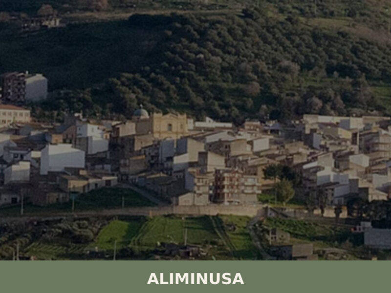 Aliminusa