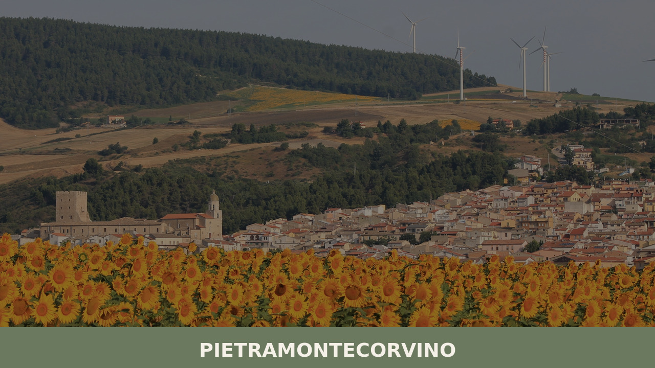Pietramontecorvino