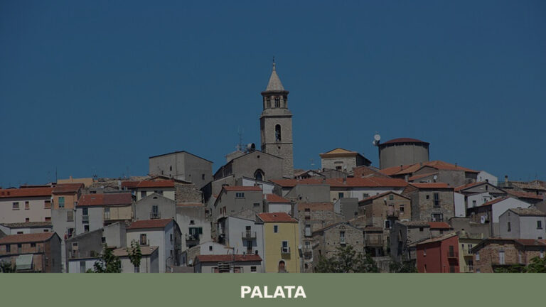 Palata
