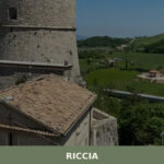 Riccia