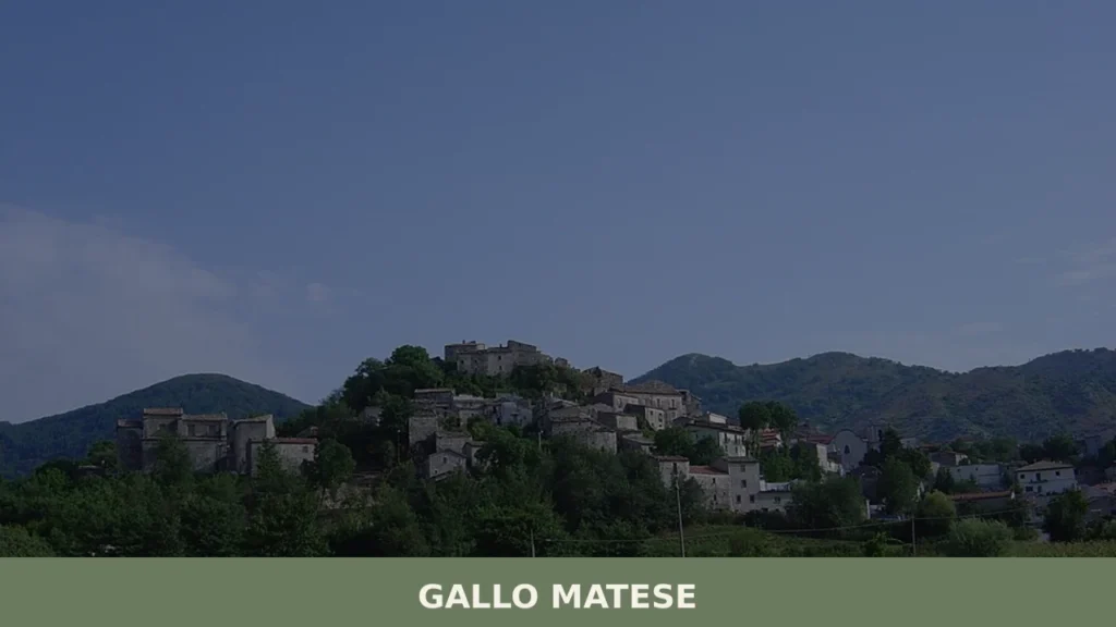 Gallo Matese