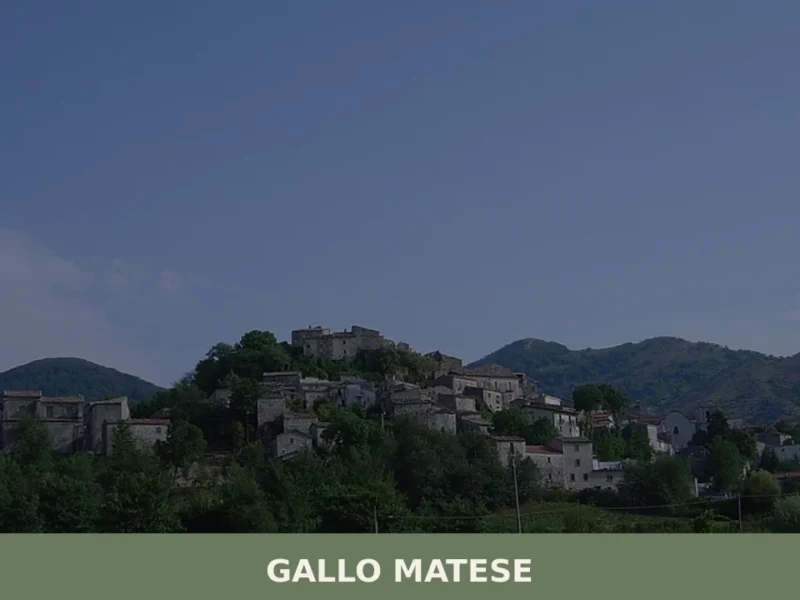 Gallo Matese