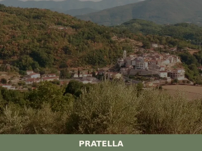 Pratella
