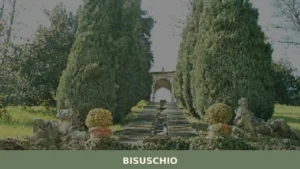 Bisuschio