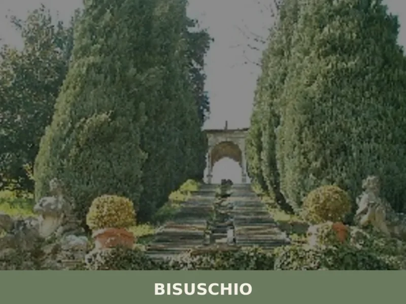 Bisuschio