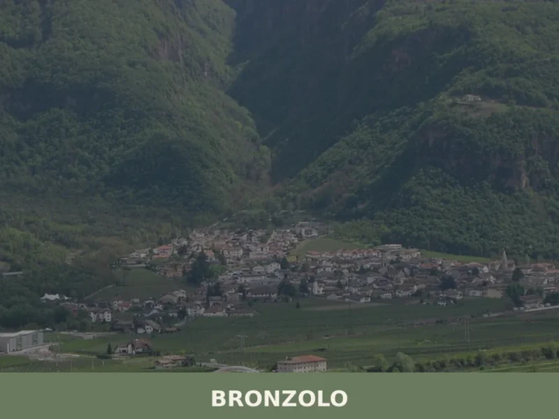 Bronzolo