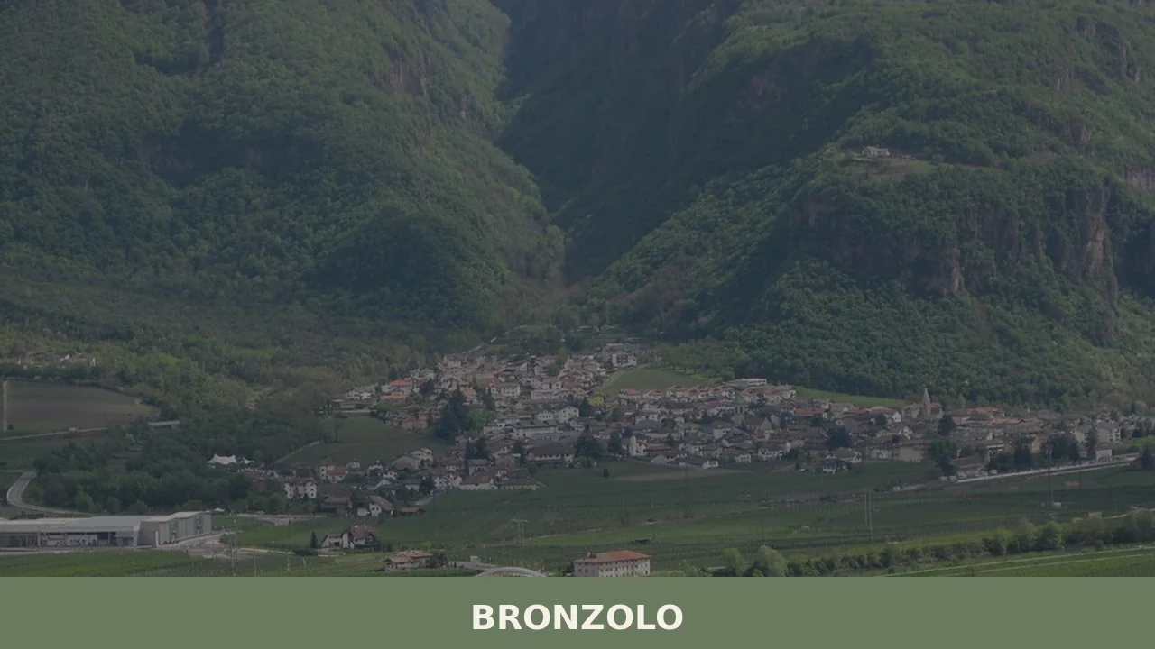 Bronzolo