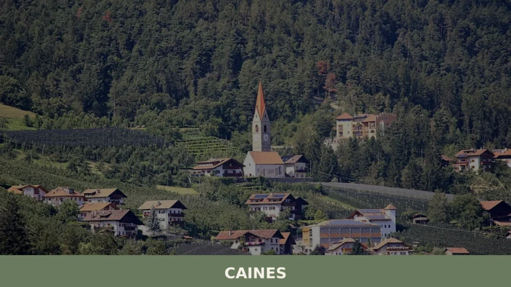 Caines