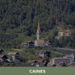 Caines