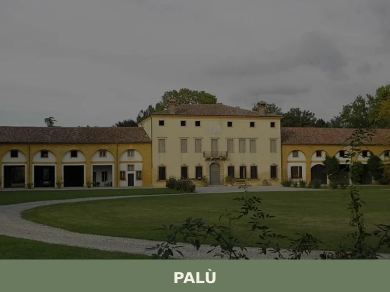 Palù