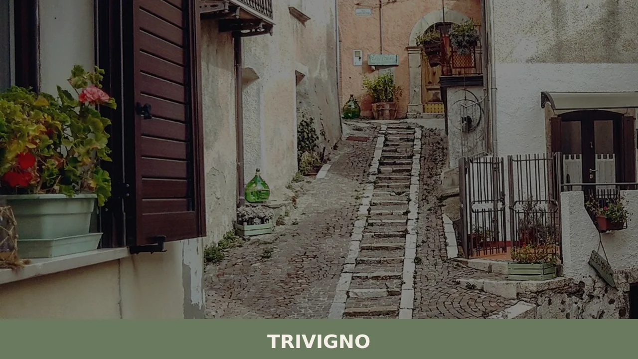 Trivigno