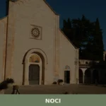 Noci