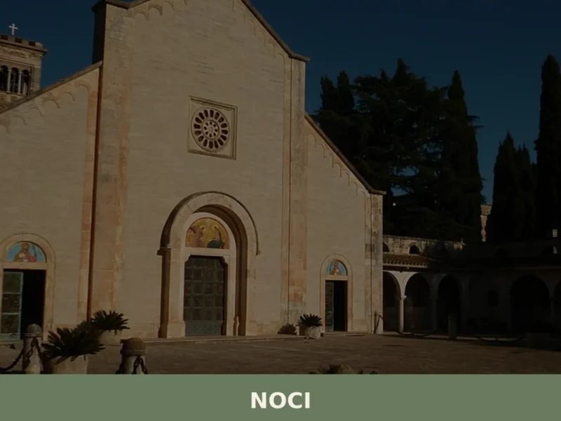 Noci