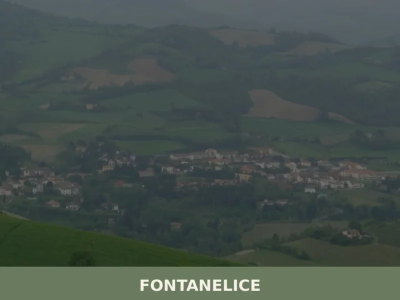 Fontanelice