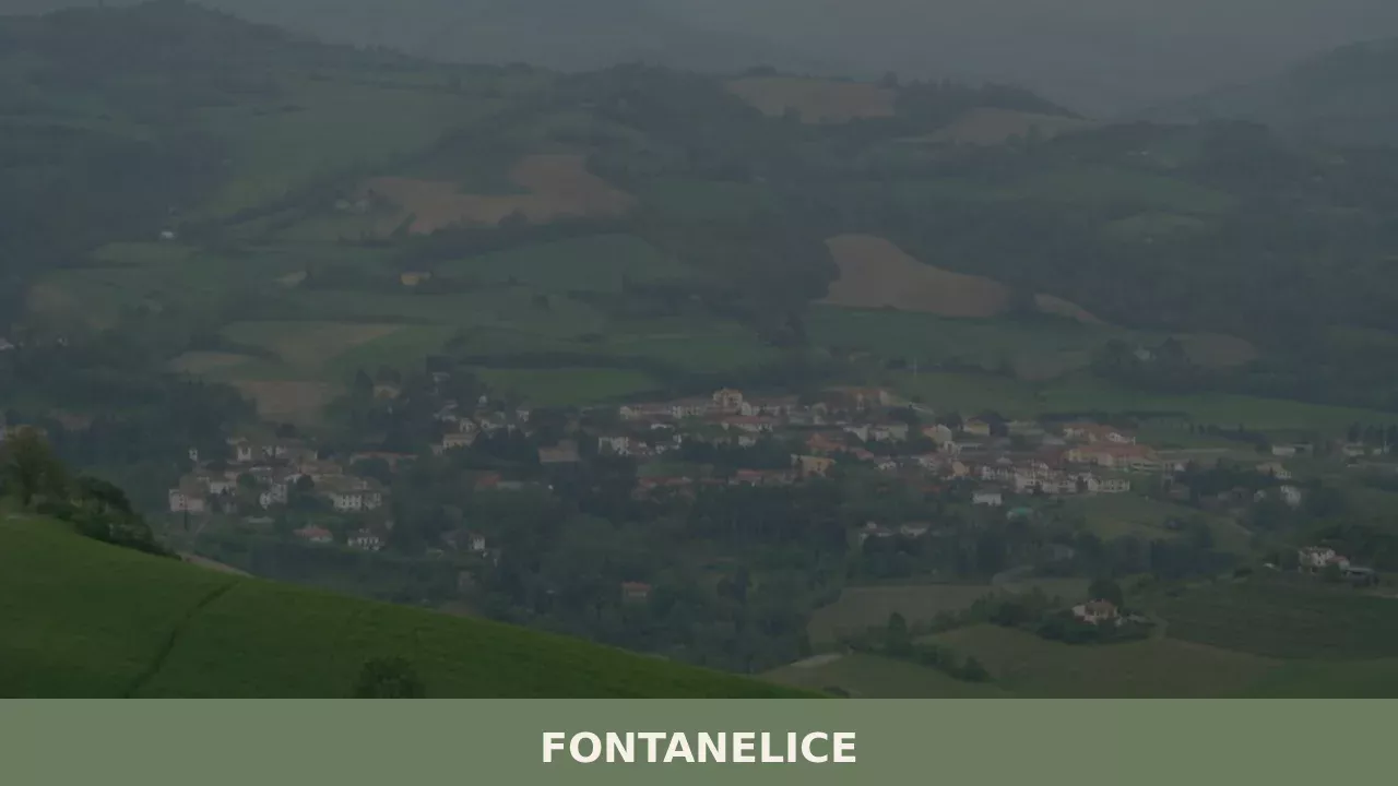 Fontanelice