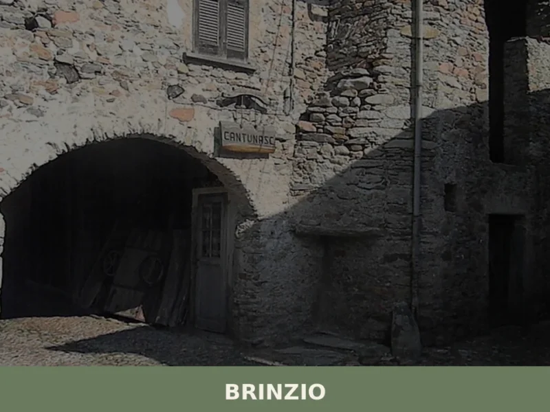 Brinzio