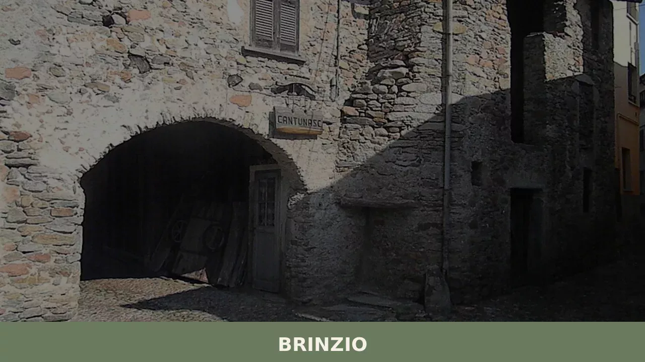Brinzio