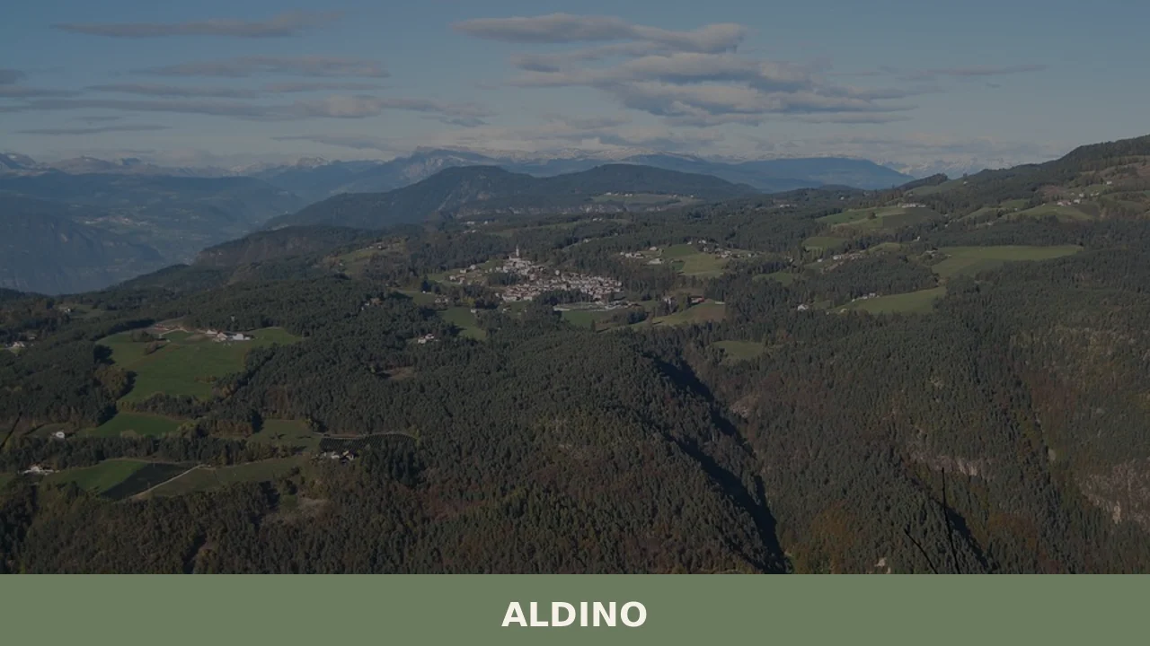 Aldino