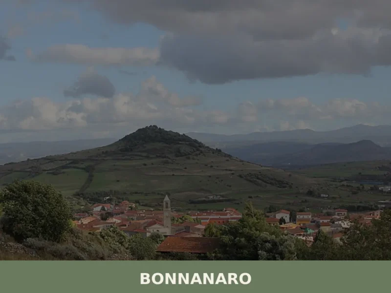 Bonnanaro