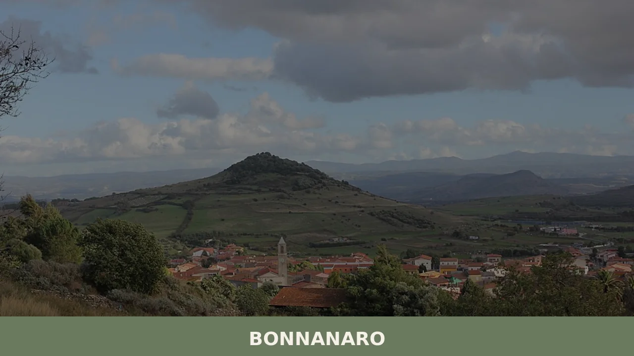 Bonnanaro