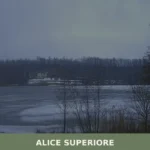 Alice Superiore