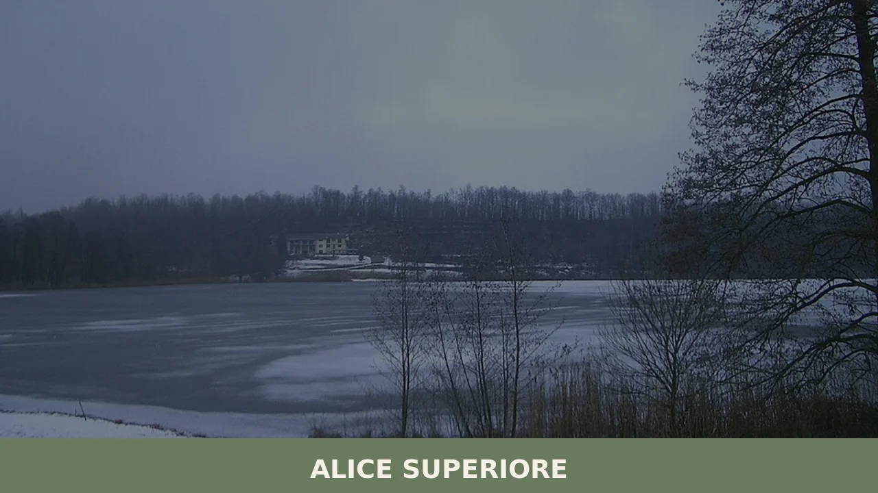 Alice Superiore