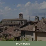 Montone