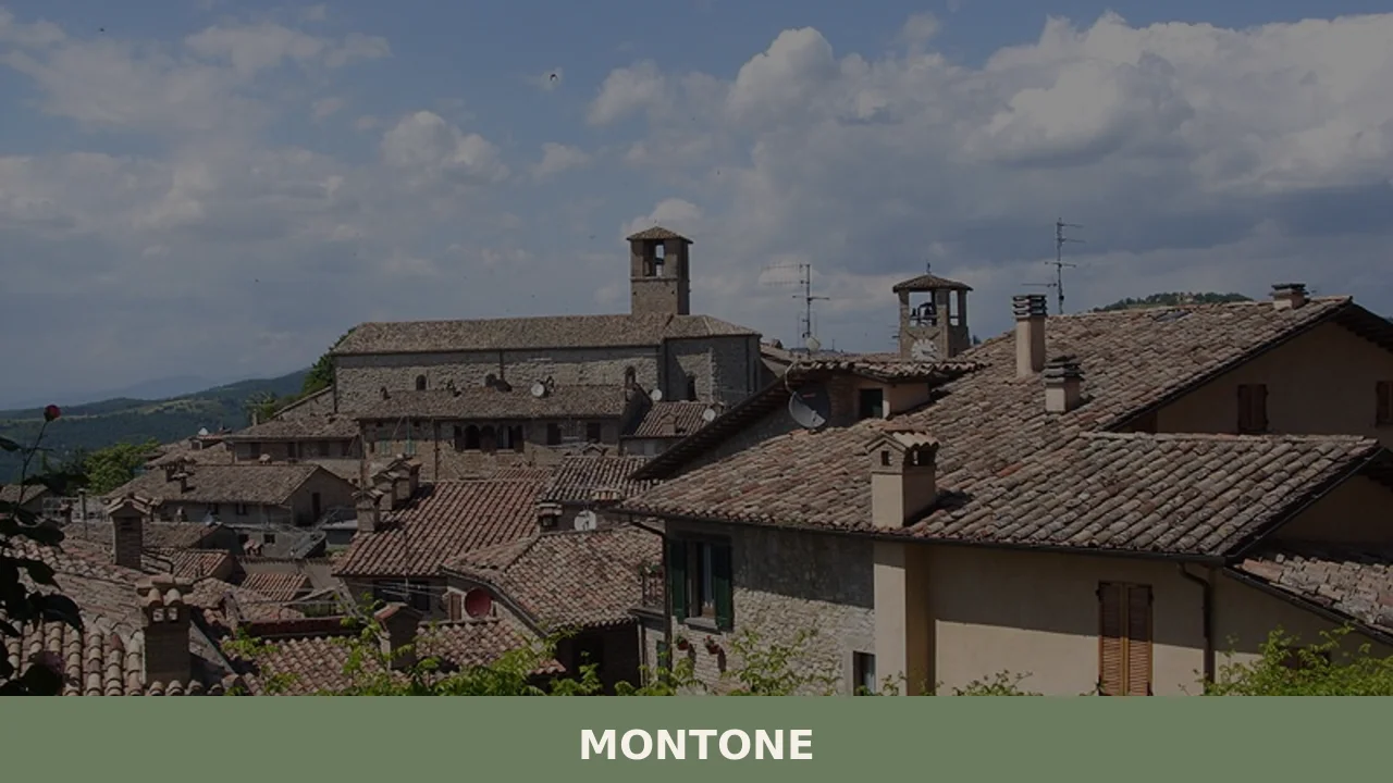 Montone