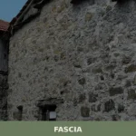 Fascia